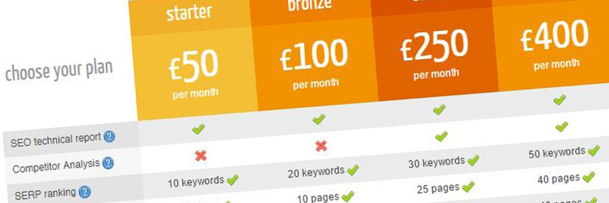 SEO Packages for Essex - Ignyte Digital Marketing Agency