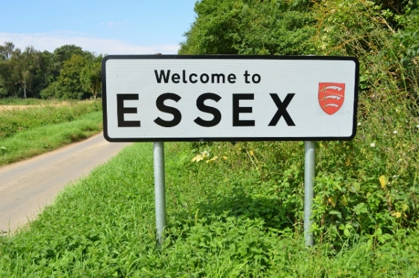 SEO Agency for Essex Businesses. Ignyte Digital Marketing